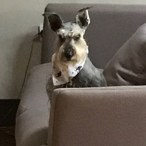 Meet your Posher, Adalis